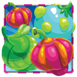 Ocean Fruits Match