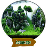 ”aquascape