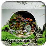 Desain Aquarium