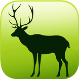 ARCANIMAL - ARC ANIMAL AR