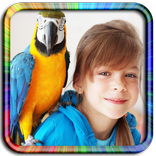 Jigsaw Puzzles