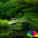 APK Nature Nougat Theme For Xperia