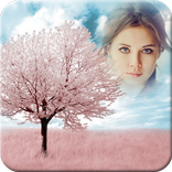 Art Picture Frames