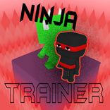 Ninja Training Games