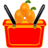Orange Catcher 2017
