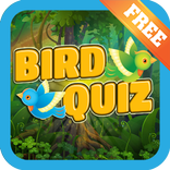 Birds Quiz