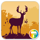 Autumn ASUS ZenUI Theme APK