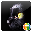 Zoom Glass Shadows APK