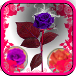 Bubble Shoot 2017 Free