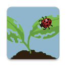 EDDMapS BioControl aplikacja