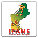 IPANE aplikacja