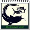 Budidaya Ikan Lele Terbaik APK