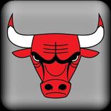 ”Chicago Bulls