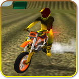 Mini Stunt Bike