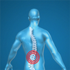 Back Pain Relieving Exercises APK