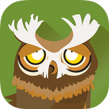 Meet The Animals: The Forest.