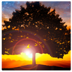 Infinite Abundance APK