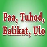 Pinoy Song Paa Tuhod Balikat Ulo for Kids w Lyrics