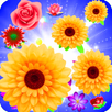 Blossom Splash Deluxe APK