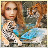 Animal Photo Frames