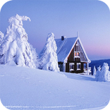 Snow Wallpapers
