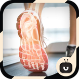 Xray Scanner Foot Simulated