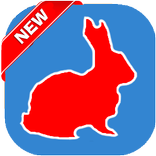 Guide UC Browser Fast