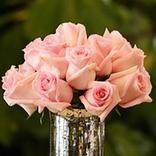 Abbey's Flower Nook