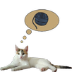 Zenka the cat widget APK