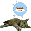 Hartie the cat widget APK