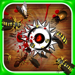 Kill Insect