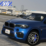 X6 Driving BMW Simulator