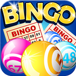 Bingo✪