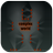 complex world APK
