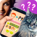 Real Cat Translator Simulator