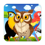 Vogels Flash Kaarten