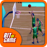 ”Basketball Sim 3D