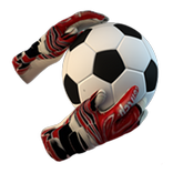 Goal Keeper