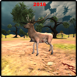 Deer Hunting Fantasy Jungle