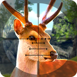 ”Wild Hunter Jungle 2017