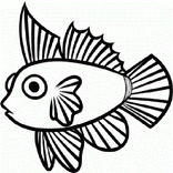 Drawing Fish