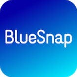 BlueSnap-GooglePay Demo
