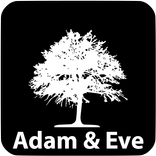Book of Adam and Eve
