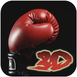 Boxing 3D