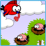 Red Birds Adventures