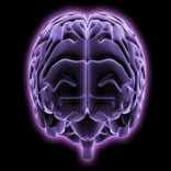 Brain Age Uji New