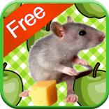 Mouse Games for Kids - Free