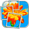 Tap And Guess APK