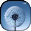 Magic Neo Wave : Dandelion LWP APK