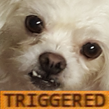 Triggered Sounds